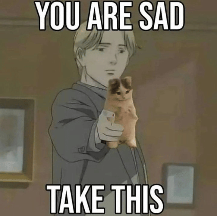 meme kucing tema anime