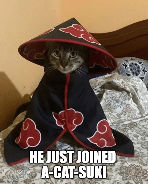 meme kucing tema anime