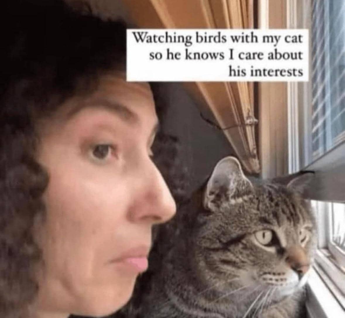 meme kucing tentang burung