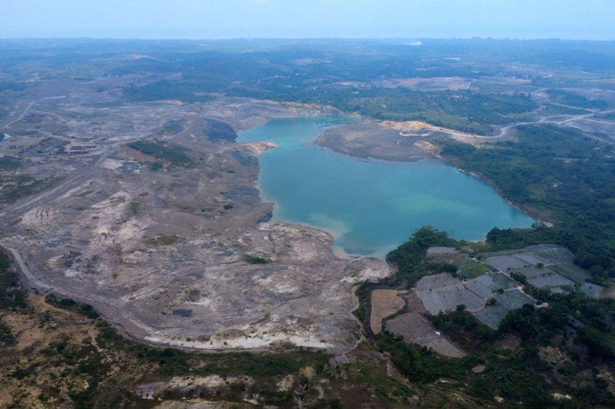 antarafoto-satgas-pkh-kembalikan-kawasan-hutan-seluas-11171-ha-1788234798.jpg