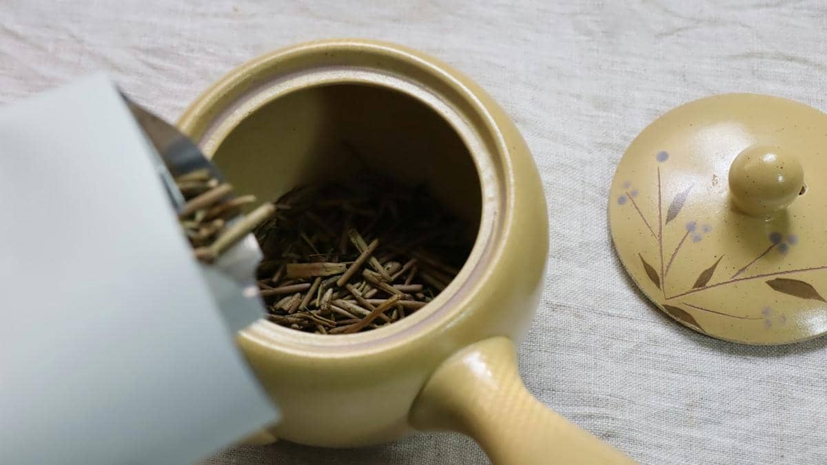 ilustrasi hojicha