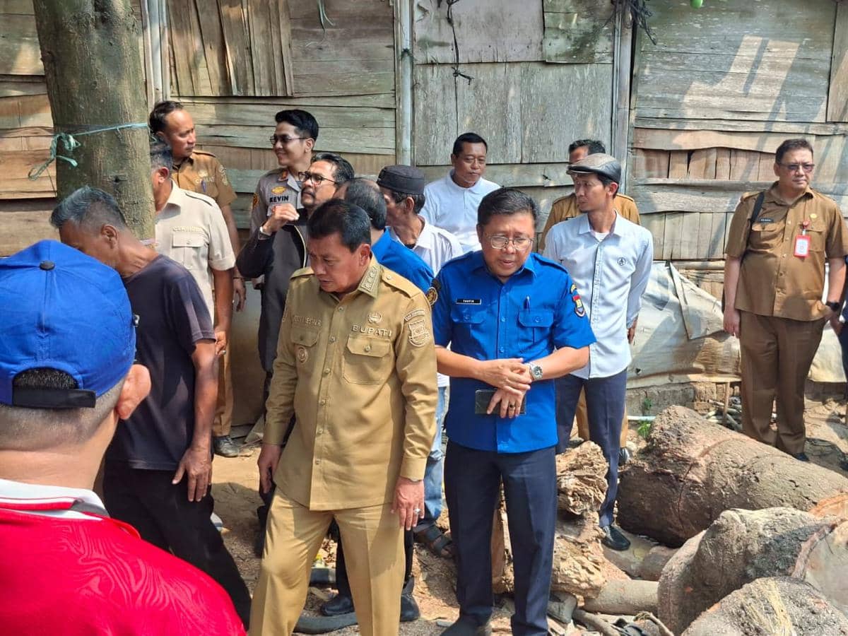 Pohon tumbang di Tangerang yang menewaskan seorang anak berusia 11 tahun, berdasarkan dokumentasi BPBD Kabupaten Tangerang.