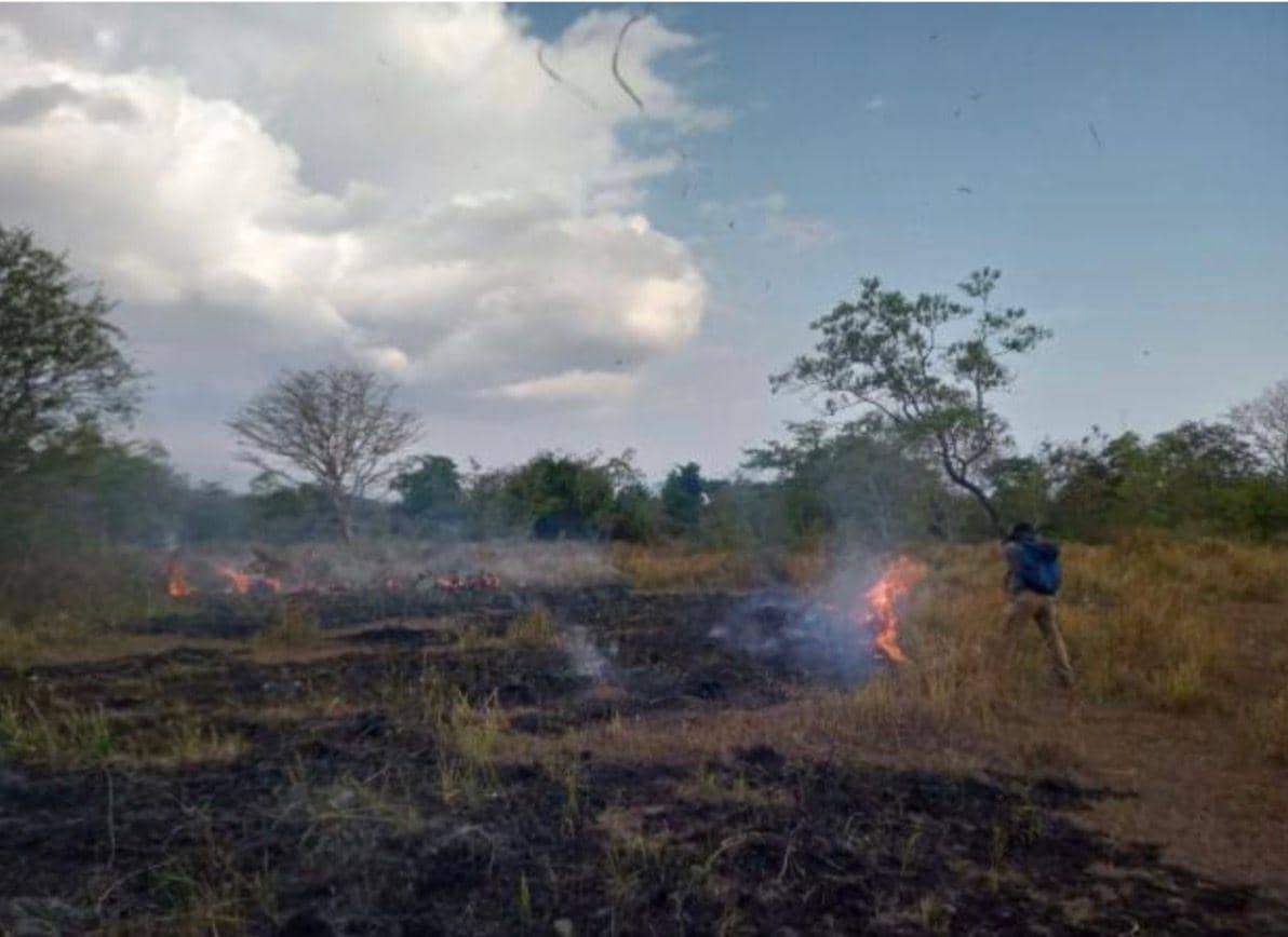 IMG-20260901-WA0045.jpg