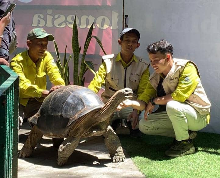Kura-kura Aldabra Jadi Koleksi Baru Kebun Binatang Surabaya