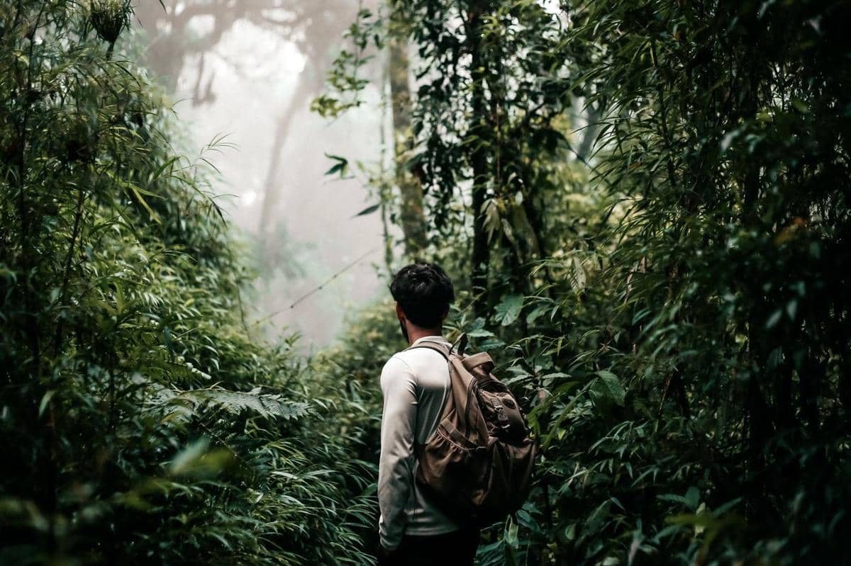 ilustrasi pria menjelajahi hutan di Kalimantan