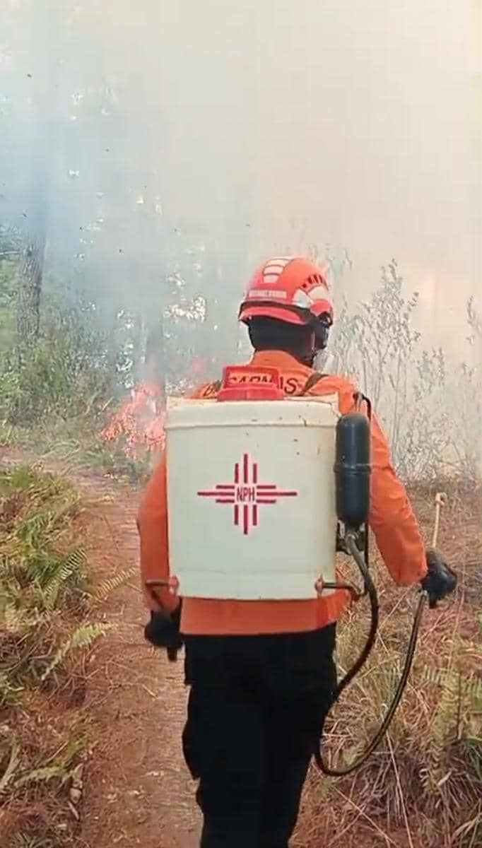 Anggota Satgas Karhutla Mamasa berupaya memadamkan api kebakaran hutan dan lahan pada Senin, 31 Agustus.