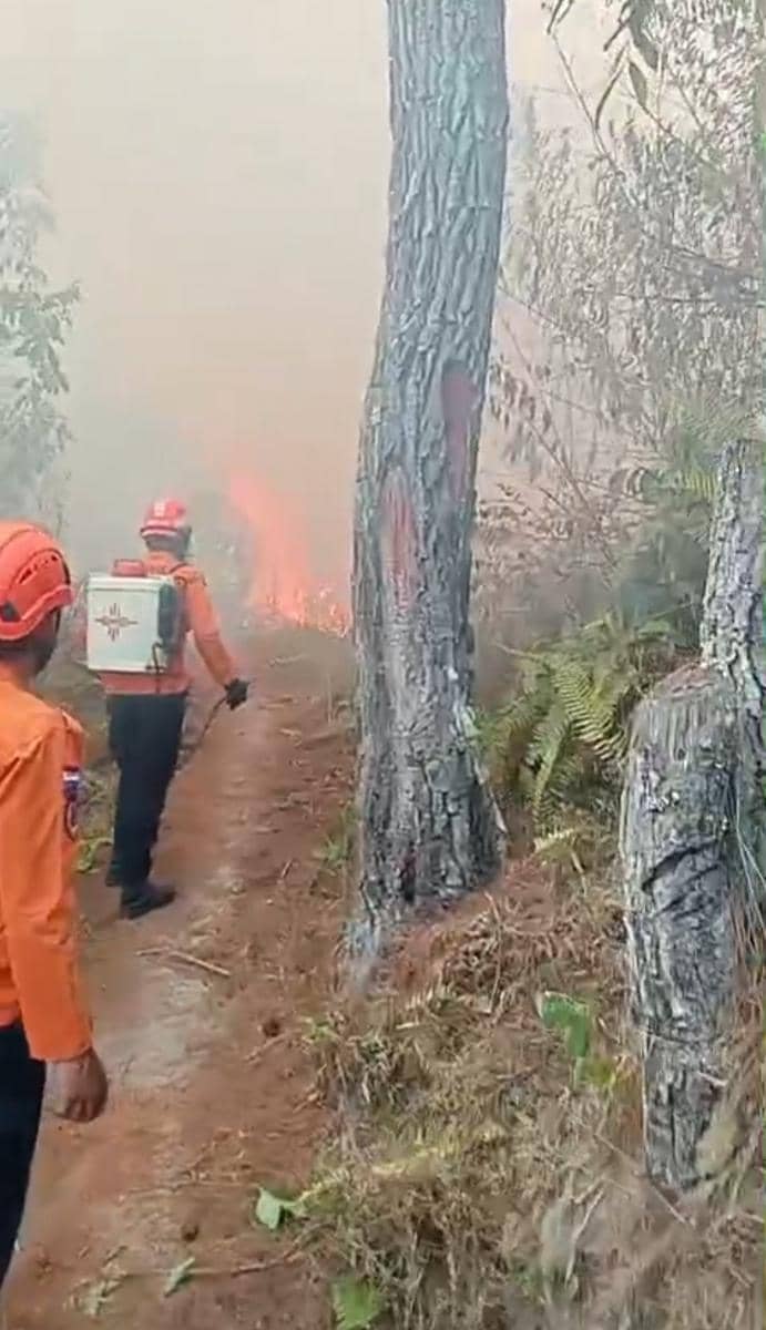 Petugas Satgas Karhutla Mamasa berupaya memadamkan api kebakaran hutan dan lahan pada Senin, 31 Agustus.