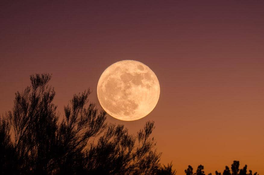 ilustrasi fenomena Harvest Moon