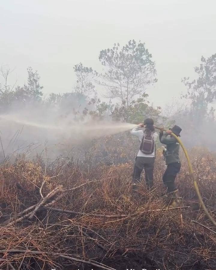 Sherina Munaf menjadi relawan dalam penanganan kebakaran di Kalimantan, seperti dibagikan melalui akun Instagram pribadinya.