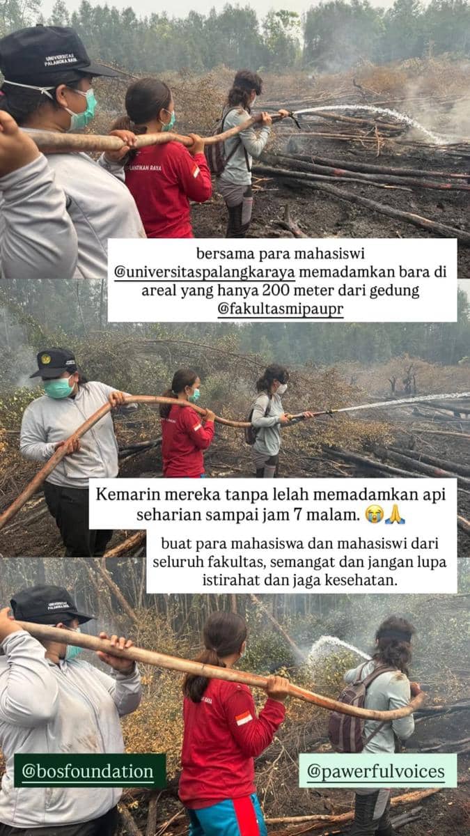 Sherina Munaf tampak menjadi relawan dalam kegiatan penanganan kebakaran di Kalimantan, Indonesia.