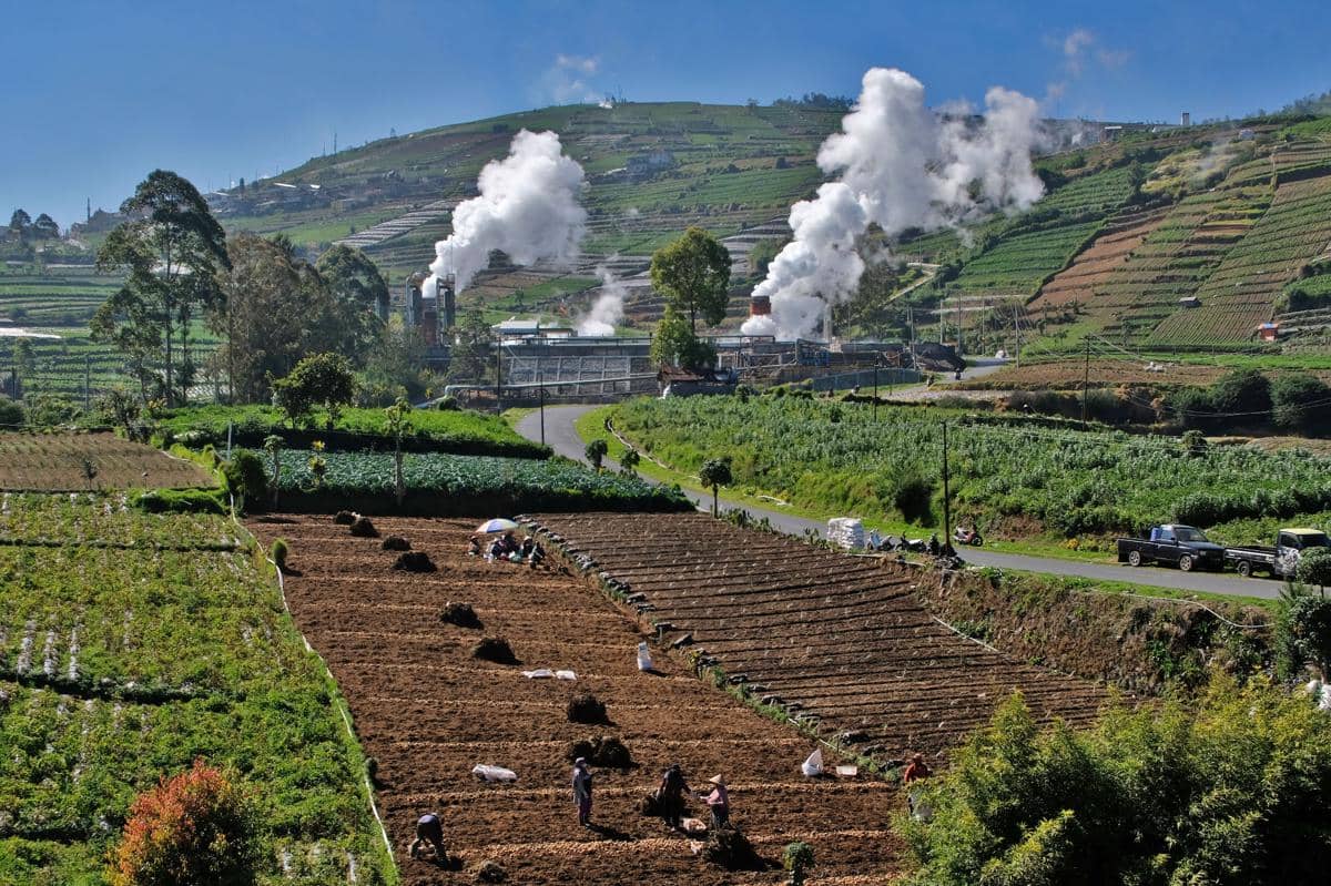 Warga memanen kentang di sekitar areal instalasi sumur geothermal atau panas bumi untuk Pembangkit Tenaga Listrik Panas Bumi (PLTP) PT Geo D
