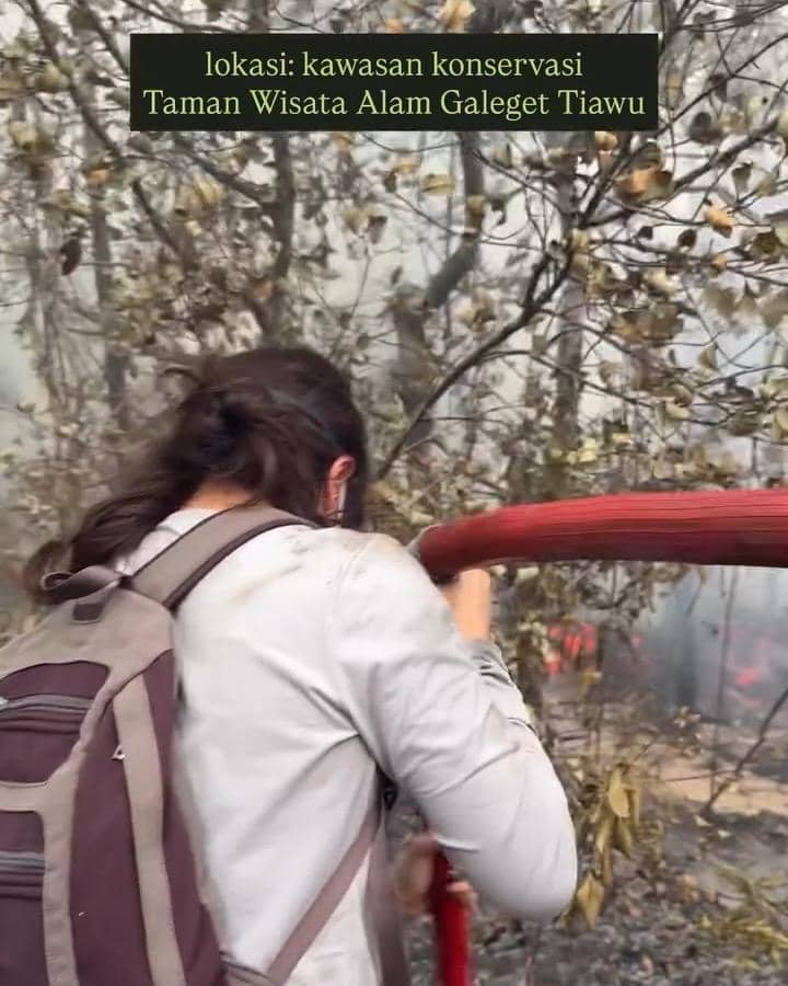 Sherina Munaf menjadi relawan dalam kegiatan penanganan kebakaran hutan yang berlangsung di Kalimantan.