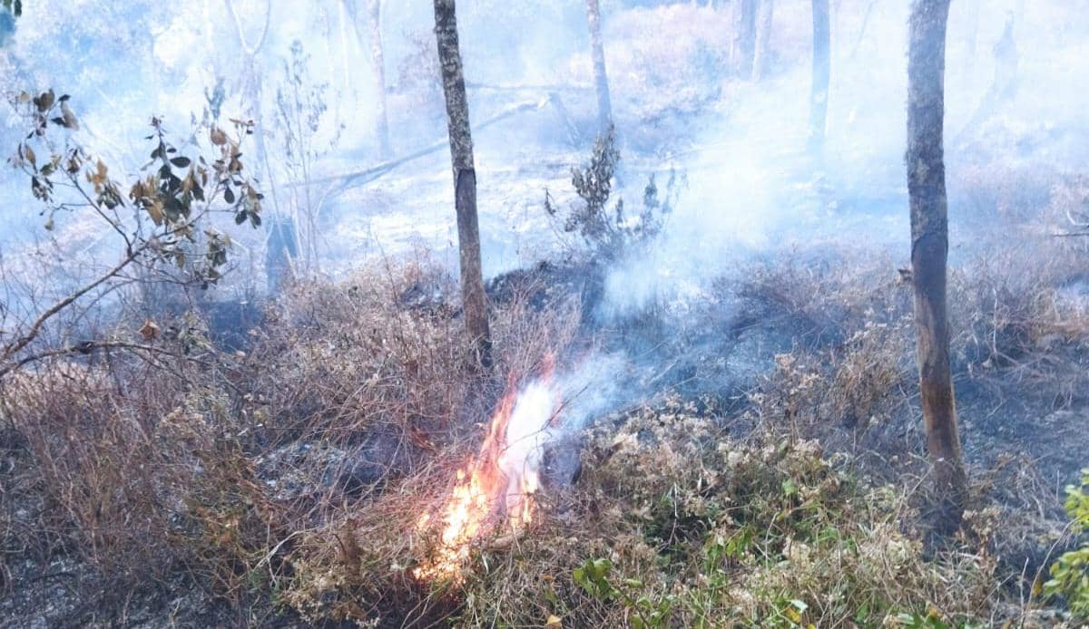 Kebakaran Gunung Buthak, 271 Pendaki Selamat