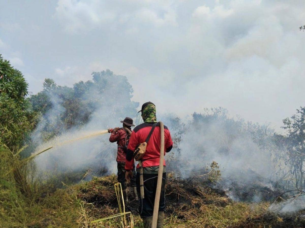 Pemadaman oleh tim Manggala Agni dan BKSDA Sumsel di di Suaka Margasatwa (SM) Padang Sugihan, Ogan Komering Ilir (OKI)