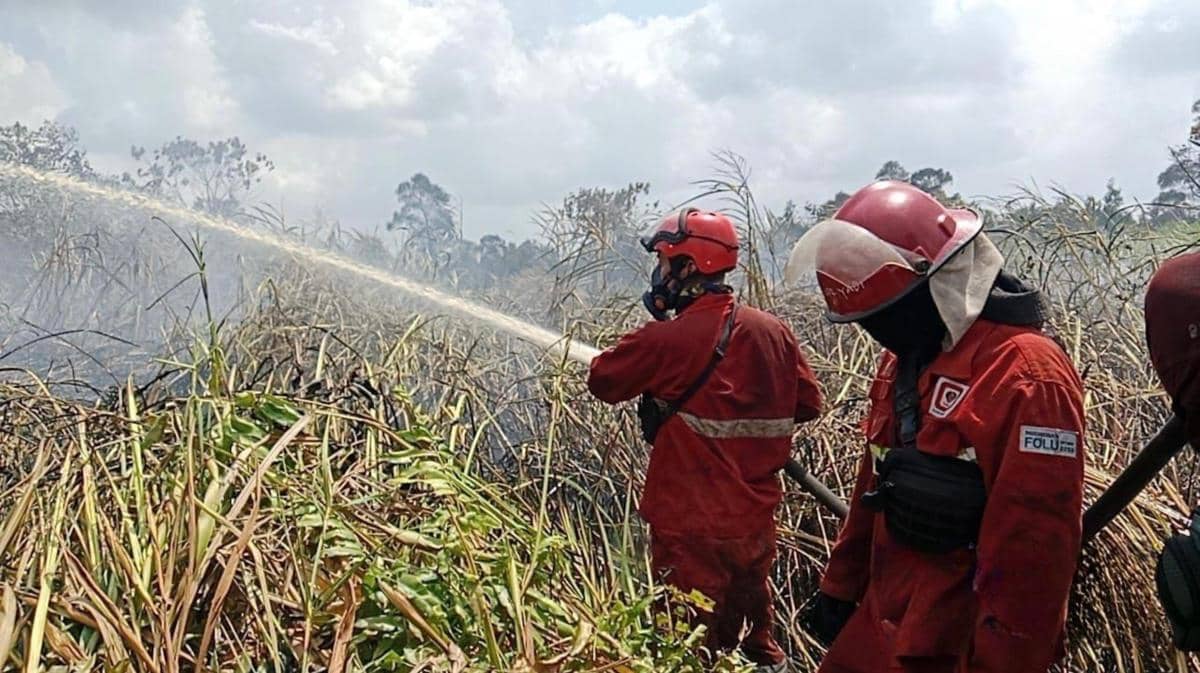Pemadaman oleh tim Manggala Agni dan BKSDA Sumsel di di Suaka Margasatwa (SM) Padang Sugihan, Ogan Komering Ilir (OKI)