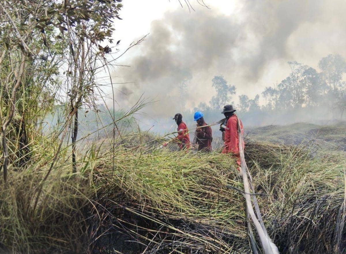 Pemadaman oleh tim Manggala Agni dan BKSDA Sumsel di di Suaka Margasatwa (SM) Padang Sugihan, Ogan Komering Ilir (OKI)