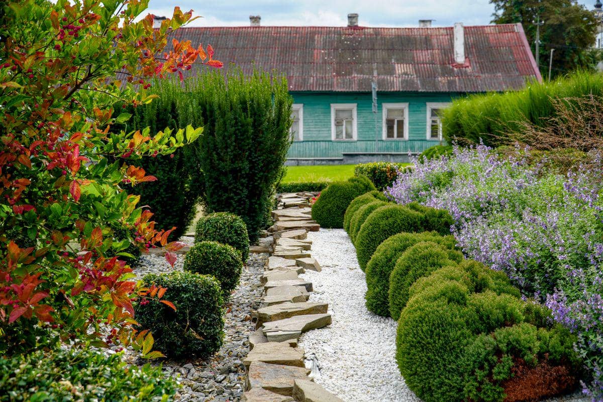 5 Tips Firewise Landscaping untuk Lindungi Rumah Saat Kemarau