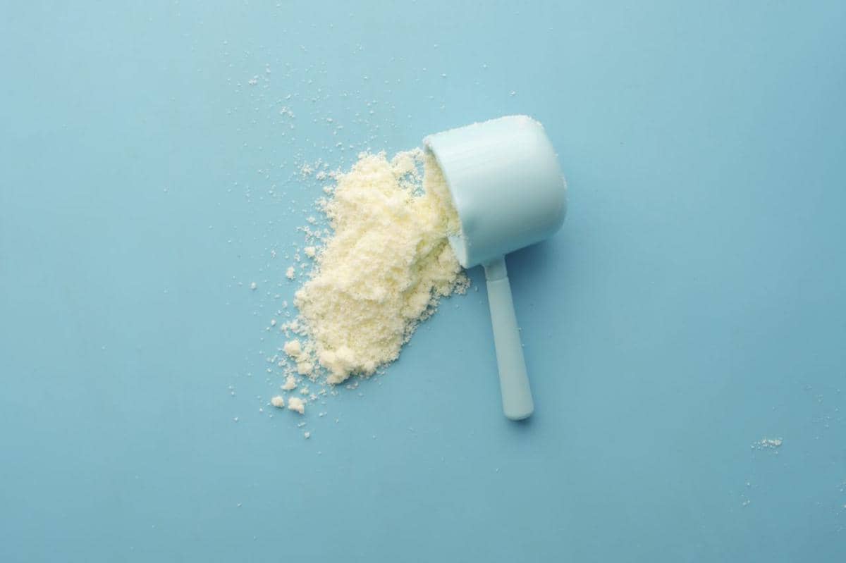 Mengapa Protein Penting Meski Tidak Sedang Nge-Gym?