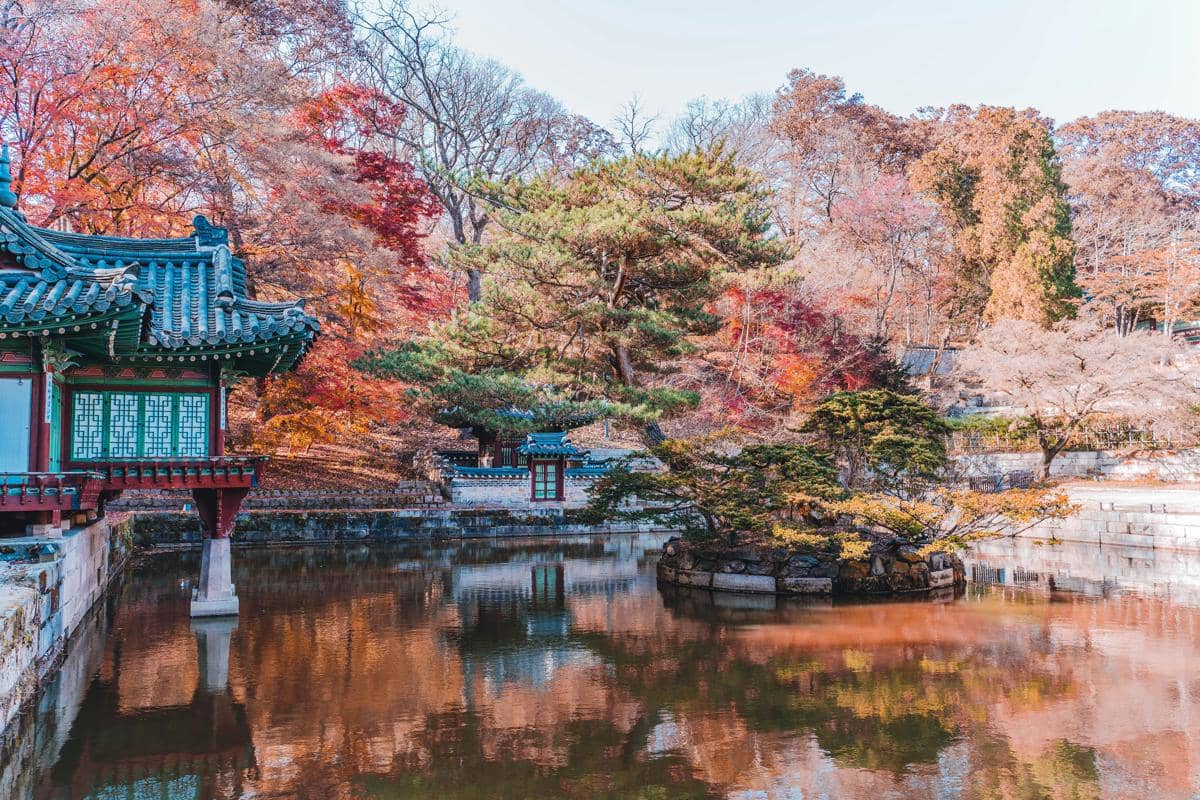 Secret Garden di Changdeokgung Palace, Seoul, Korea Selatan
