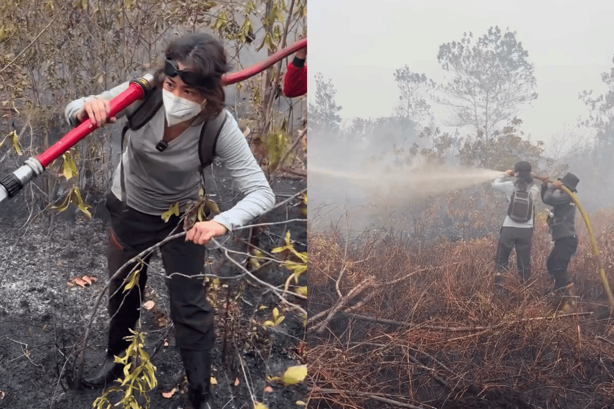 Sherina Munaf Terjun langsung Bantu Padamkan Karhutla di Kalimantan Tengah