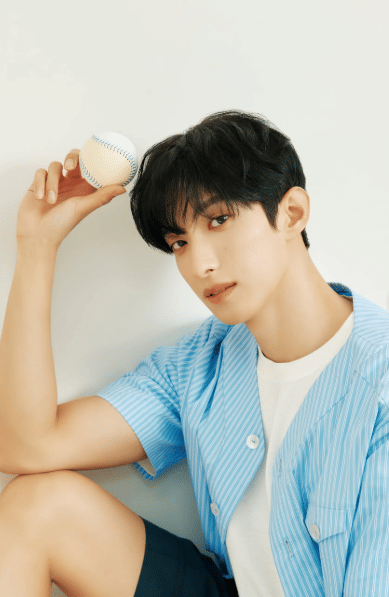 potret DK SEVENTEEN