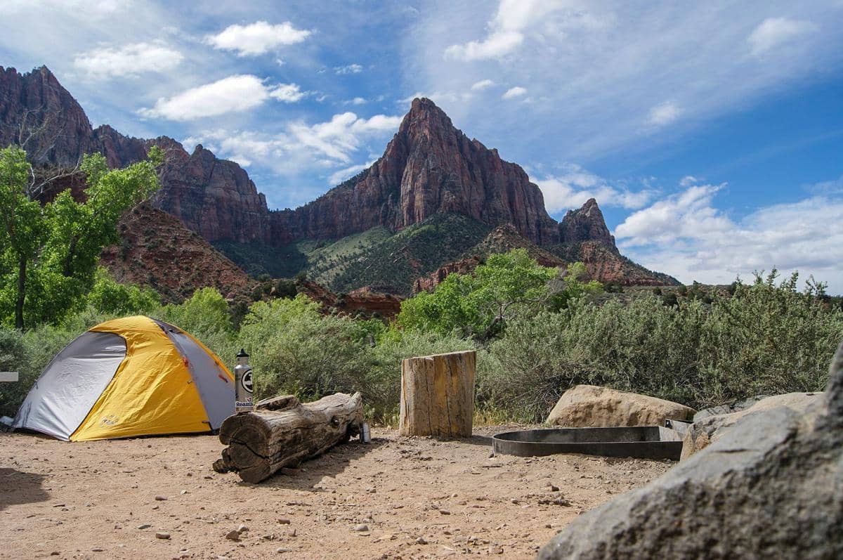 5 Alasan Kondisi Vegetasi Bisa Menjadi Petunjuk Memilih Lokasi Camping