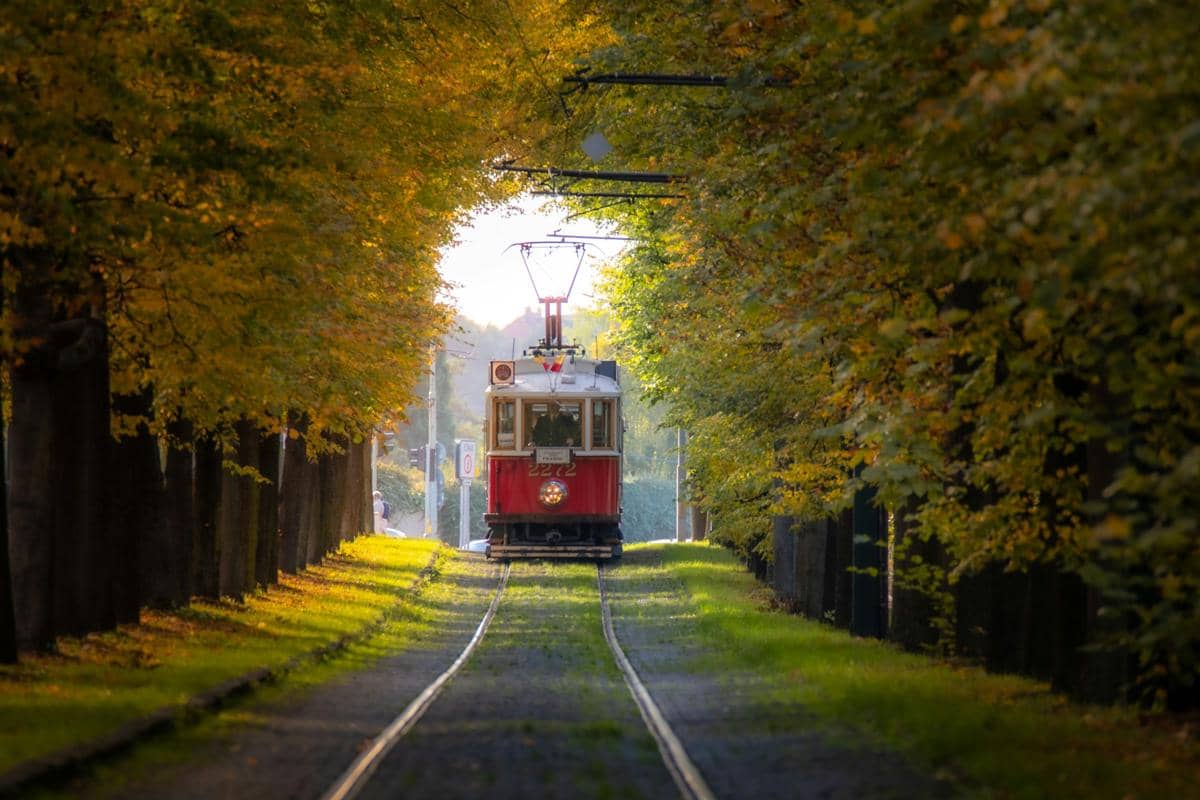 ilustrasi trem melintasi terowongan pepohonan saat musim gugur di Praha