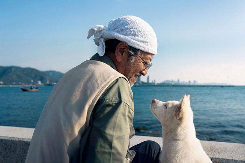 5 Film Drama 2026 yang Menguras Air Mata, Sudah Nonton?