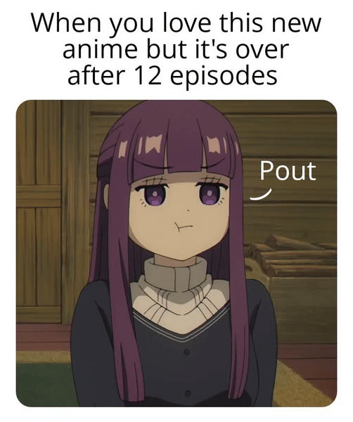 meme anime dua belas episode