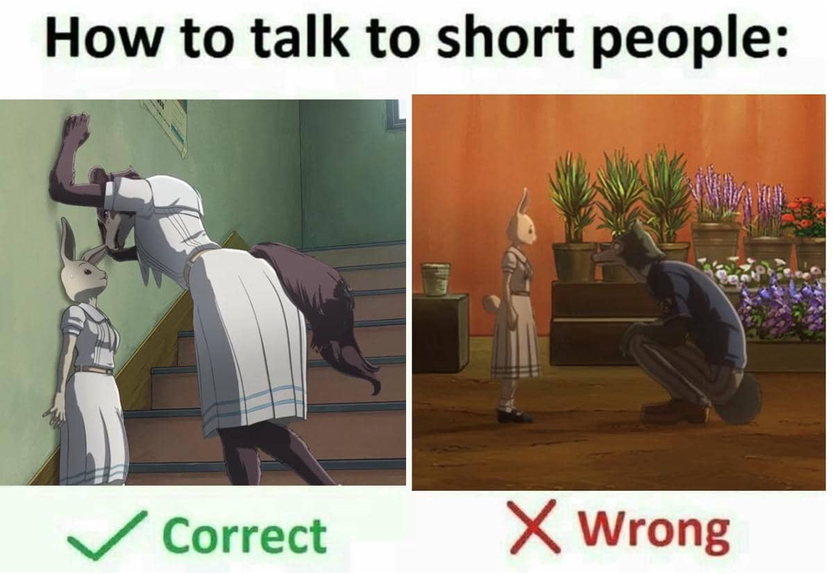 meme anime tentang cewek bertubuh mungil