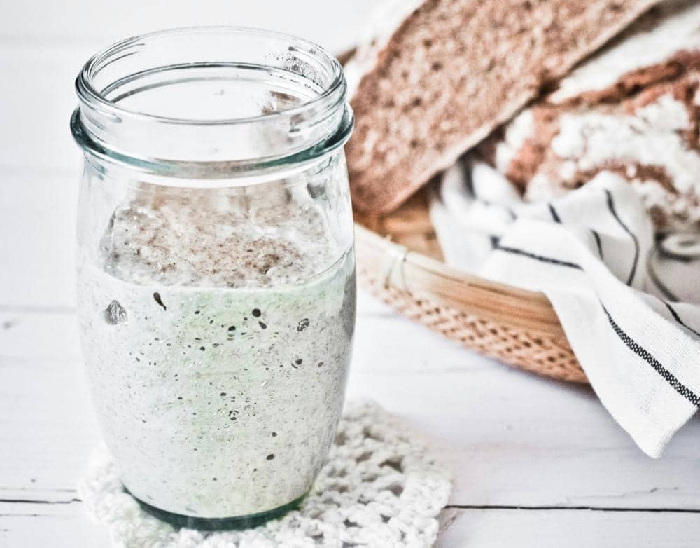 ilustrasi sourdough starter