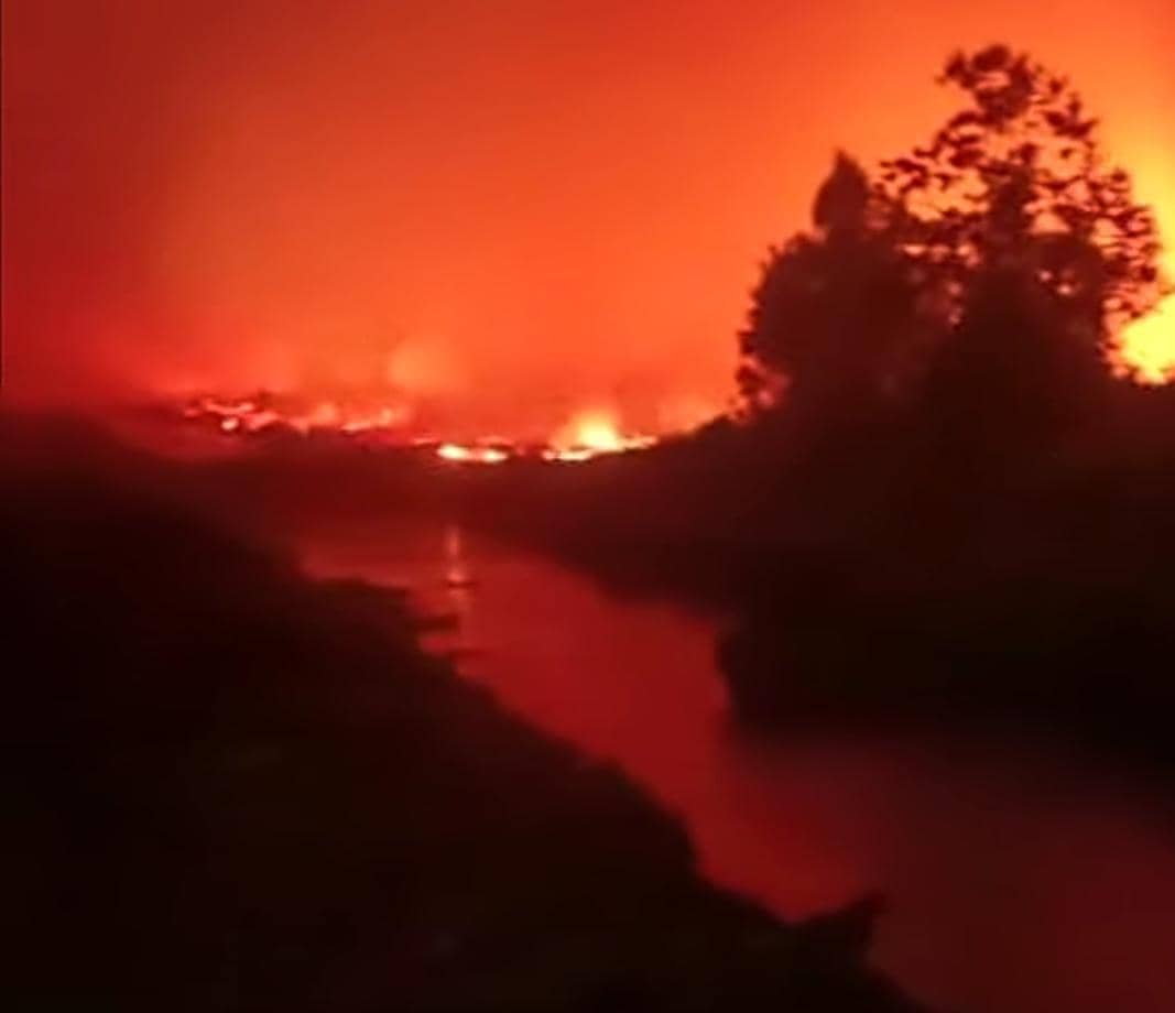 Api Ngamuk Karhutla Meluas, Pemkab Ketapang Naikan Status Darurat