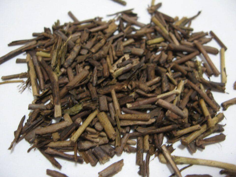 ilustrasi hojicha