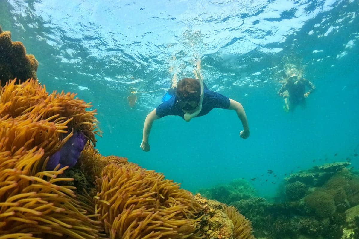 Potret orang snorkeling