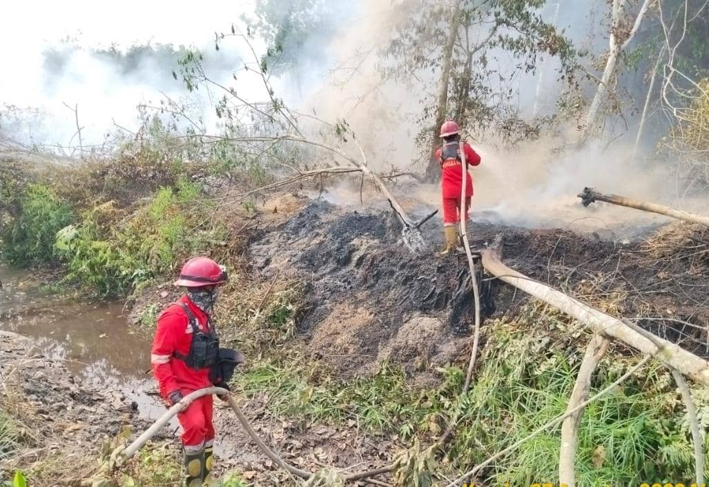 Tim Manggala Agni Daops Sum-XV/Muba  saat berjibaku melakukan pemadaman. 