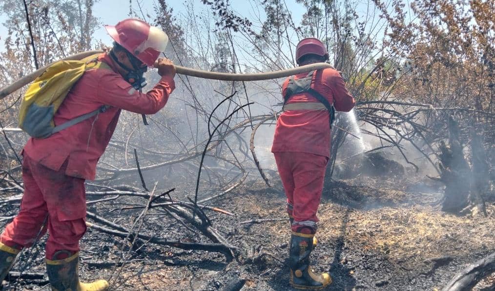 Tim Manggala Agni Daops Sum-XV/Muba saat berjibaku melakukan pemadaman.