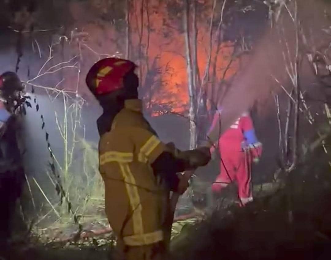 Petugas Damkar Palembang saat berjibaku padamkan karhutla. 