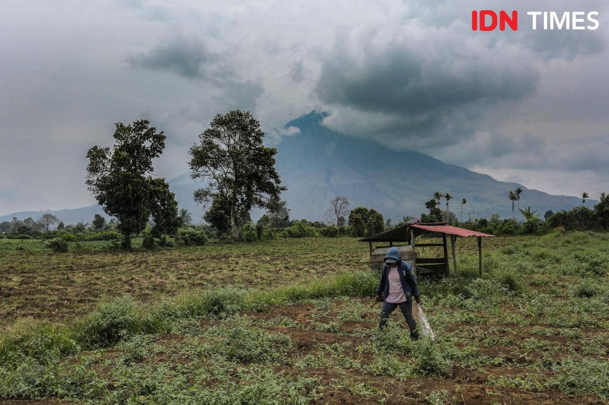 SINABUNG_1.jpg
