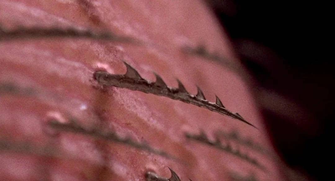 so-for-tobey-maguires-spider-man-he-has-these-blade-hairs-v0-3khj66e78hr81.jpg