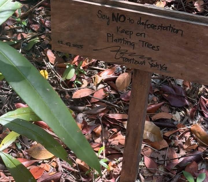 Memes Prameswari tanam pohon di Hutan Tanjung Kelayang