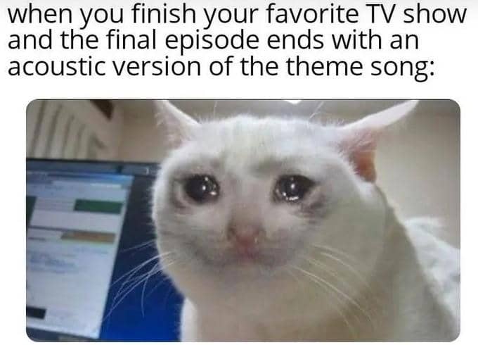 meme kucing nonton TV