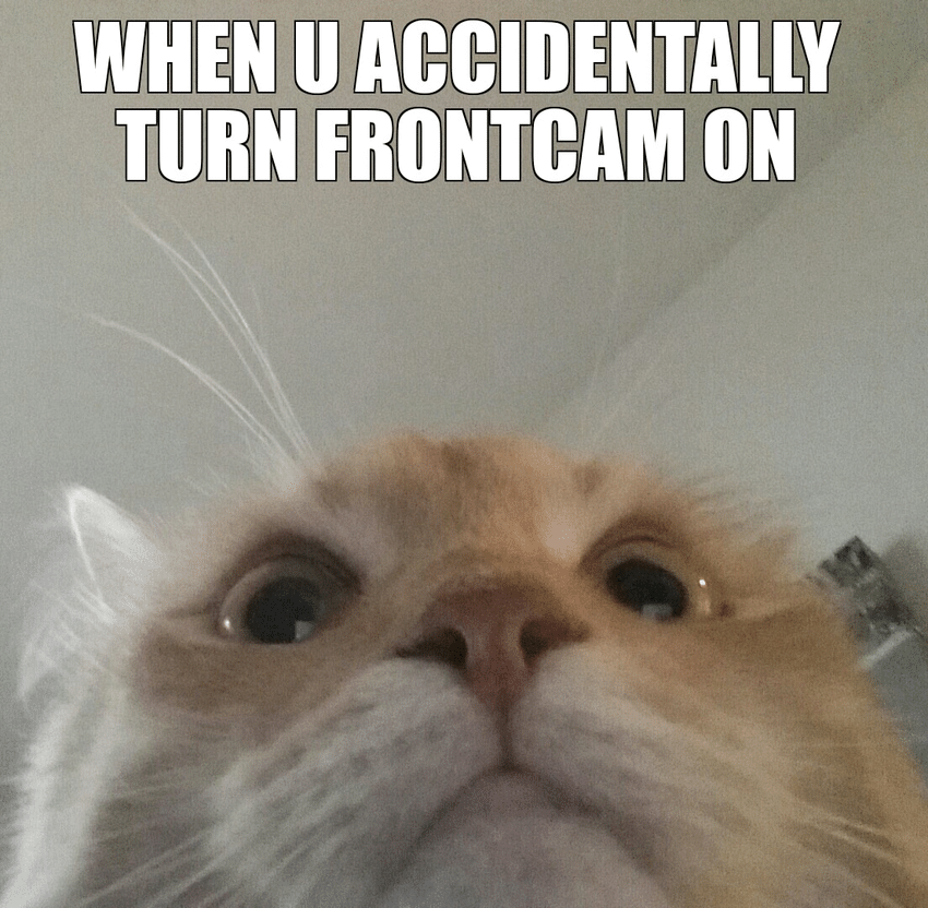 meme kucing tentang momen gak disengaja