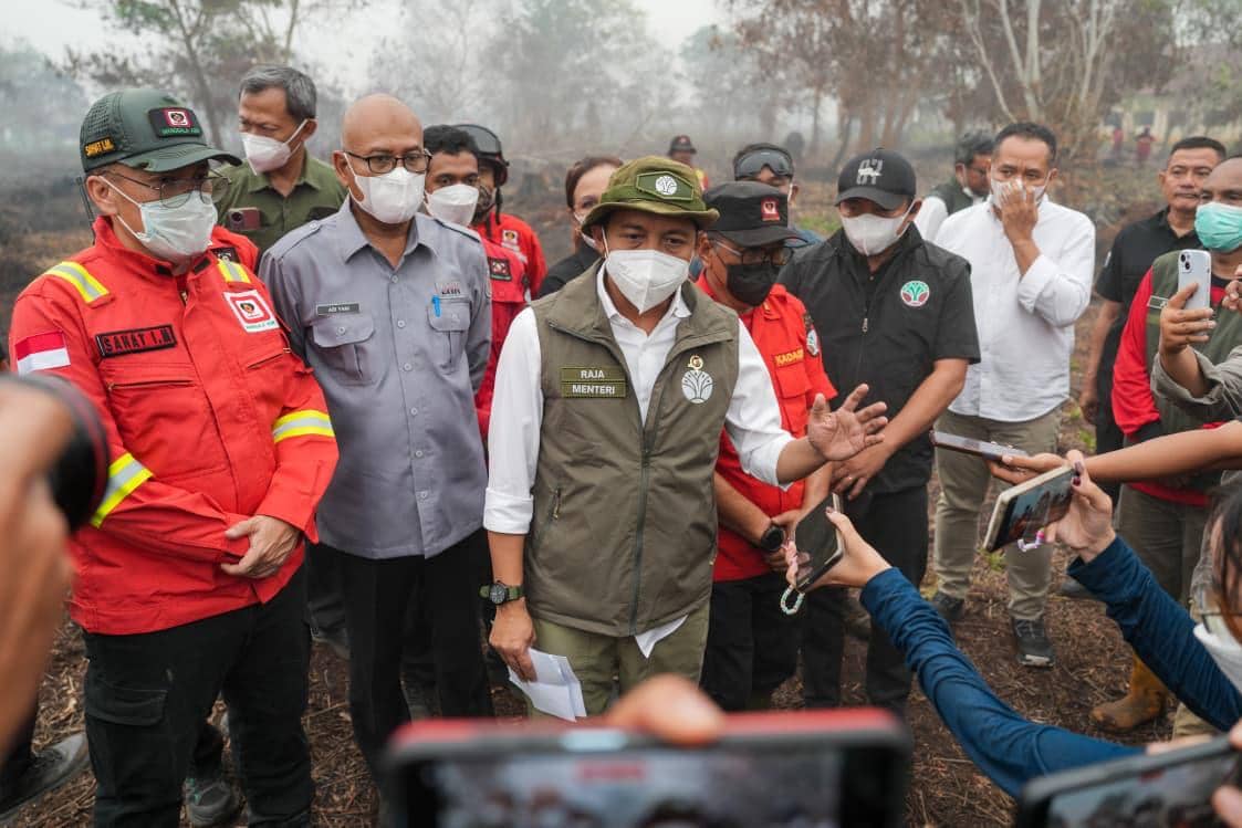 Izin 5 Perusahaan Kehutanan di Kalbar Dibekukan, Ada Mayawana