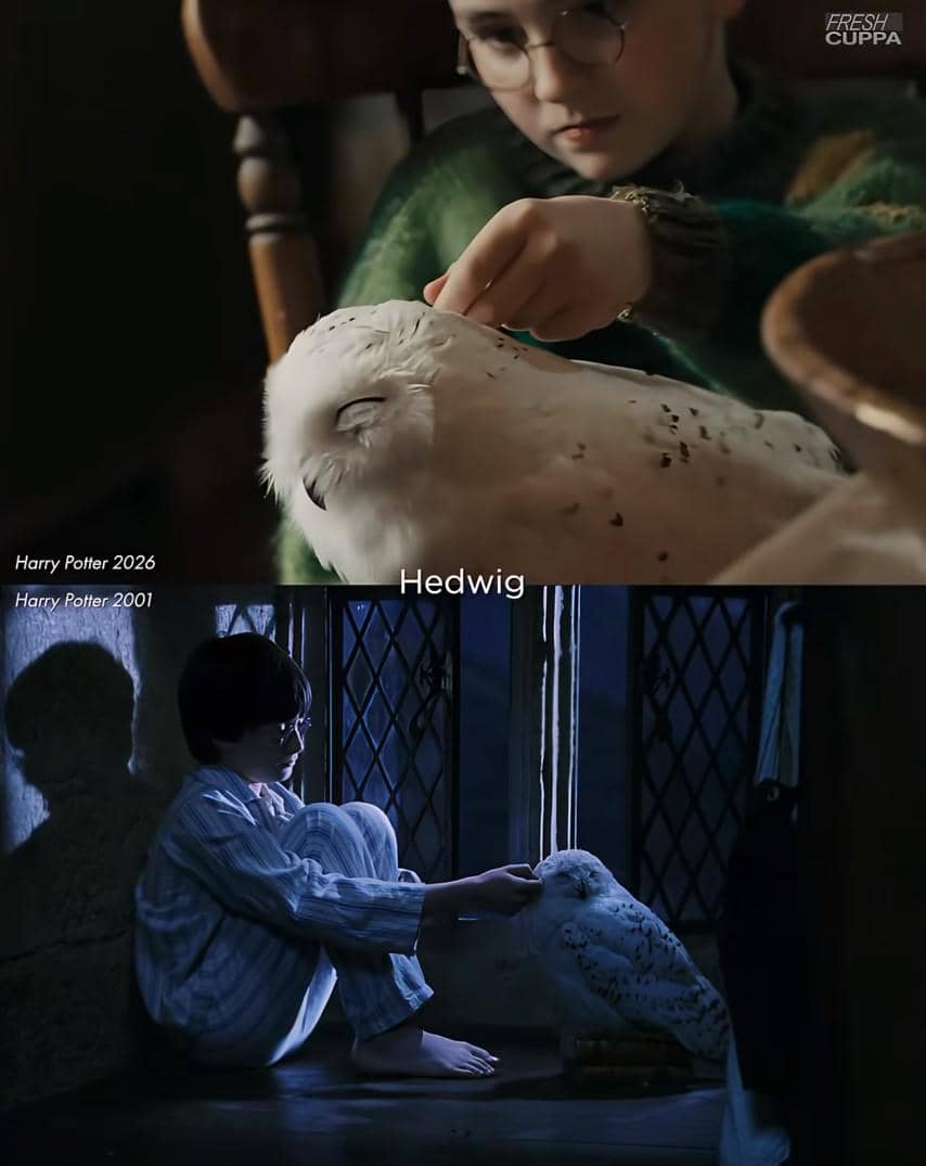 Kolase perbandingan karakter Harry Potter dalam serial HBO dan versi film Warner Bros. dengan tampilan pemeran berbeda.