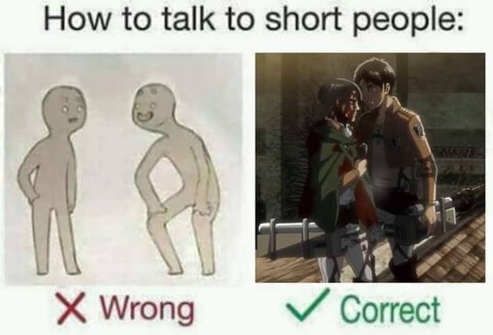 meme anime tentang orang bertubuh mungil