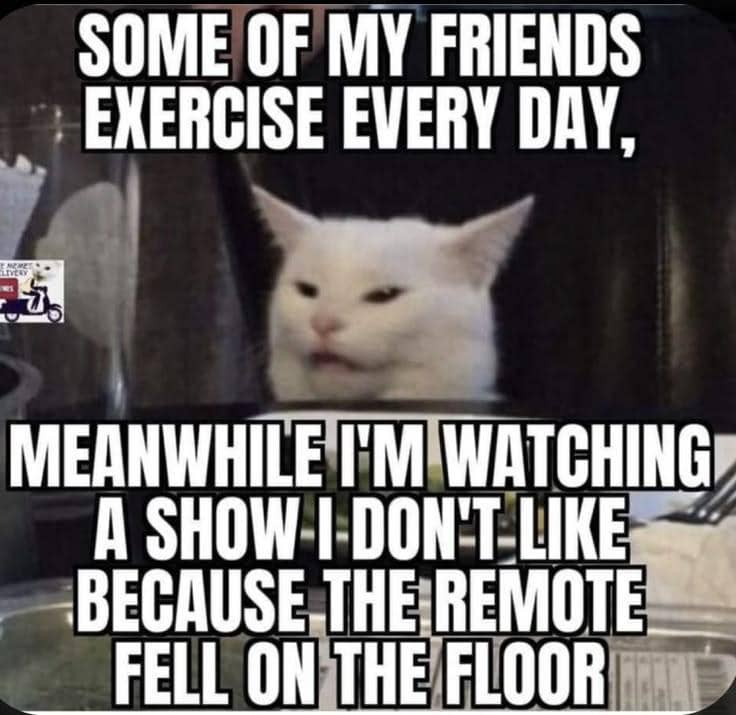 meme kucing tentang latihan