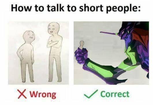 meme anime tentang orang bertubuh mungil