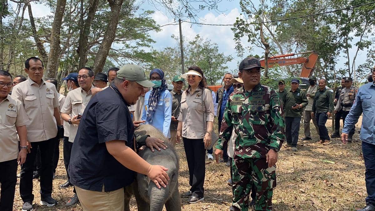 Rombongan Komisi IV DPR RI melakukan kunjungan kerja ke Taman Nasional Way Kambas di Kabupaten Lampung Timur.