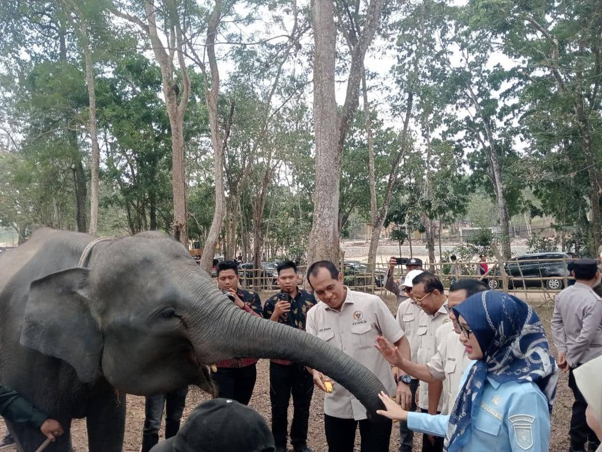 Rombongan Komisi IV DPR RI saat melakukan kunjungan kerja ke Taman Nasional Way Kambas di Lampung Timur.