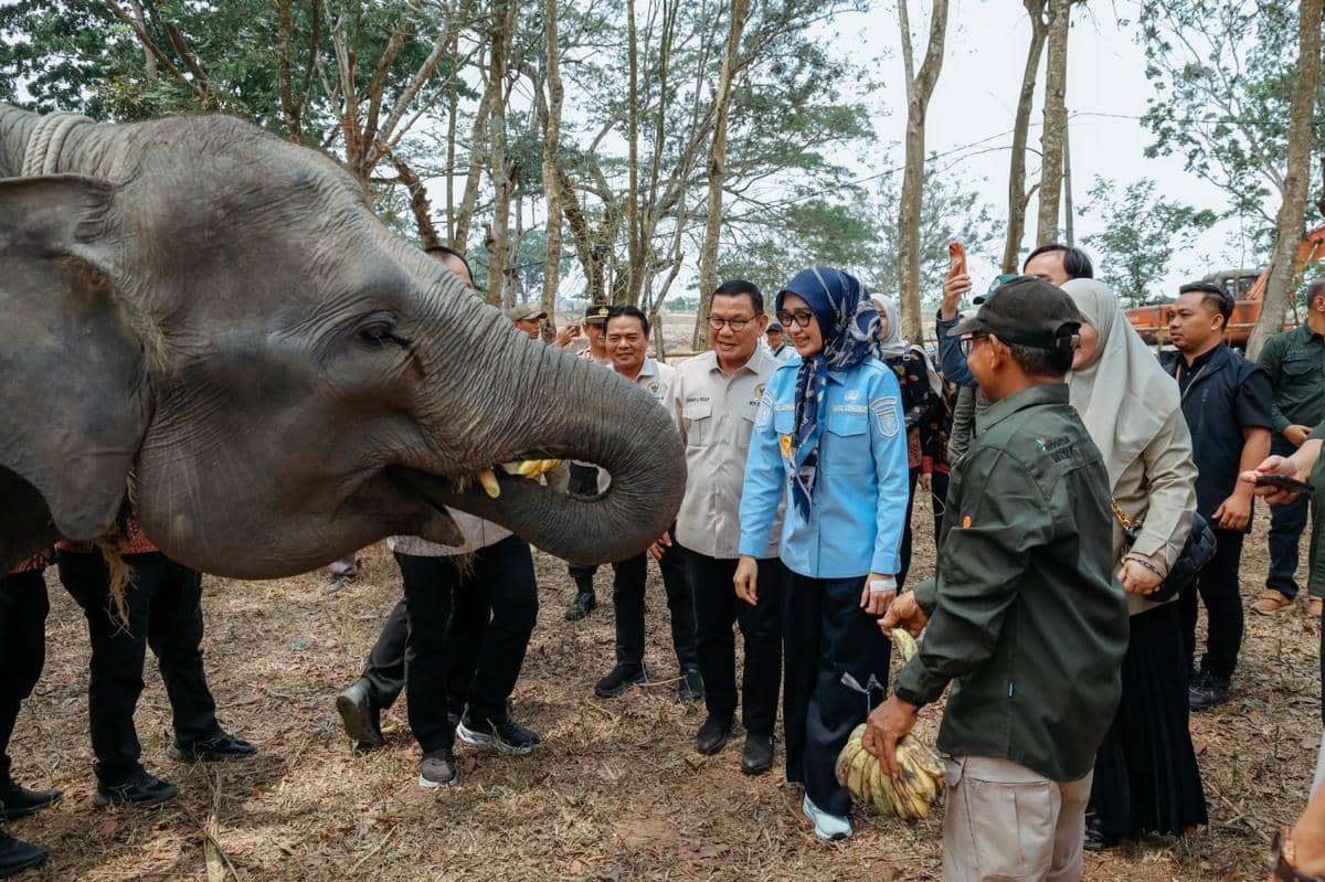 Karhutla Way Kambas Padam, DPR Tekankan Deteksi Dini hingga Pemulihan